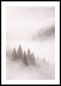 Mist-shrouded fir trees create a dreamlike feeling.-0