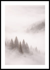 Les sapins enveloppés de brume créent une atmosphère onirique.-0