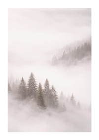 Les sapins enveloppés de brume créent une atmosphère onirique.-1