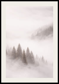 Les sapins enveloppés de brume créent une atmosphère onirique.-2