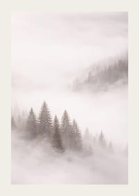 Les sapins enveloppés de brume créent une atmosphère onirique.-3