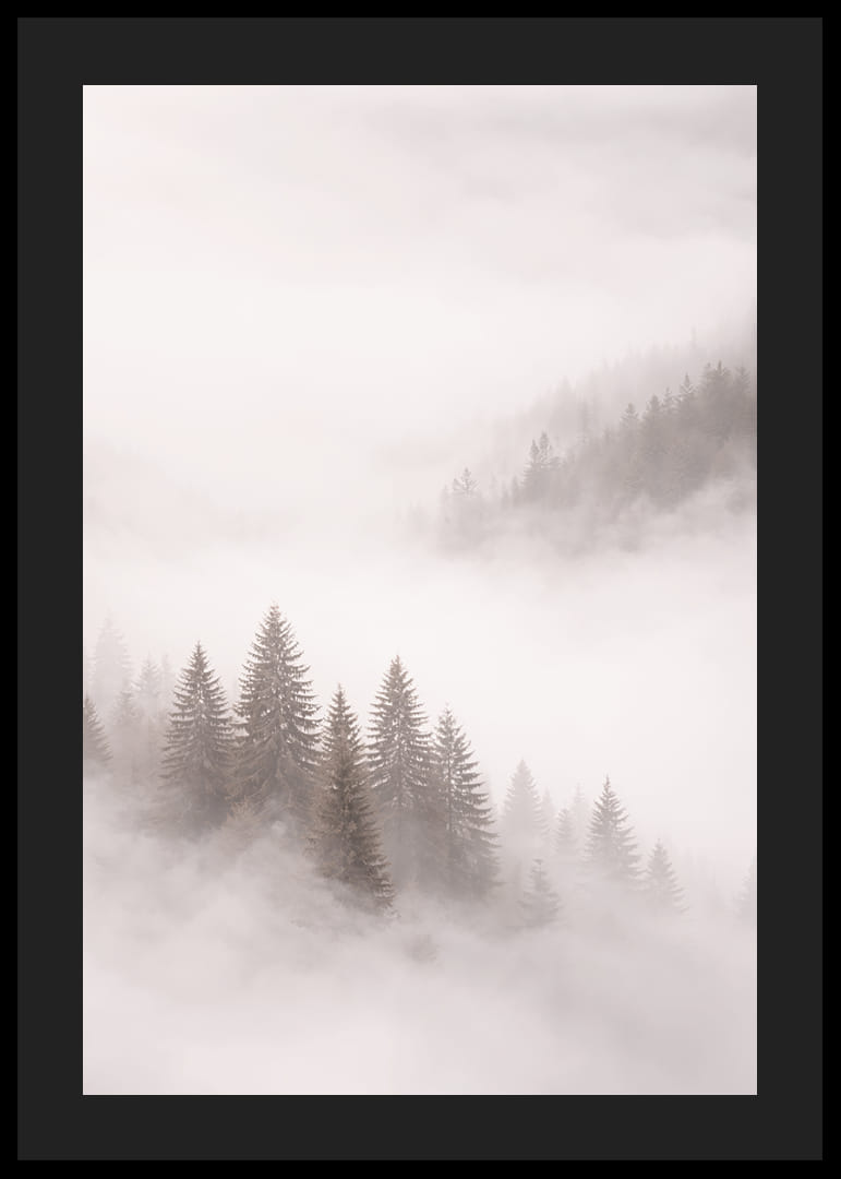 Les sapins enveloppés de brume créent une atmosphère onirique.-12