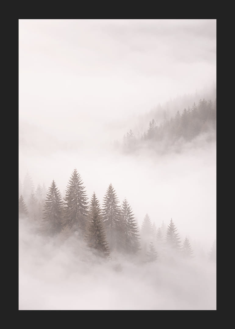 Les sapins enveloppés de brume créent une atmosphère onirique.-12