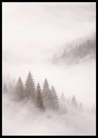 Mist-shrouded fir trees create a dreamlike feeling.-6