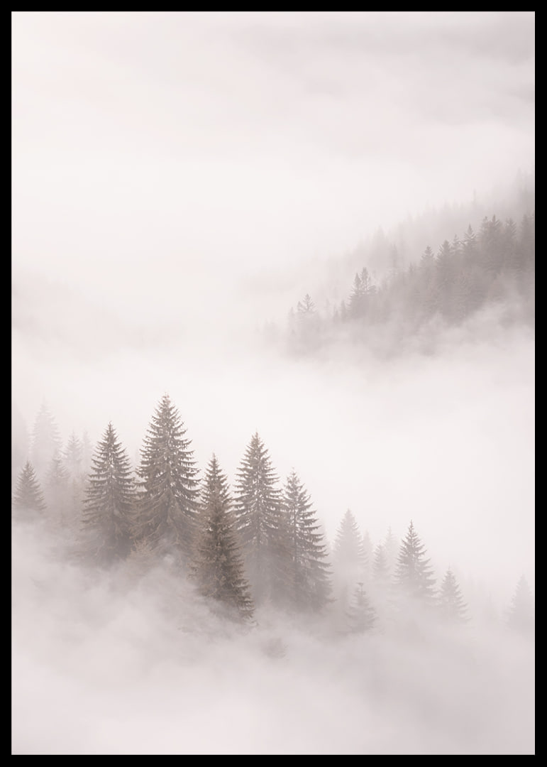 Mist-shrouded fir trees create a dreamlike feeling.-12