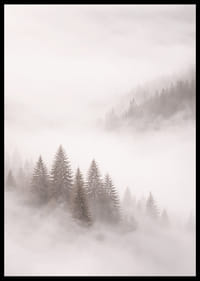 Les sapins enveloppés de brume créent une atmosphère onirique.-6