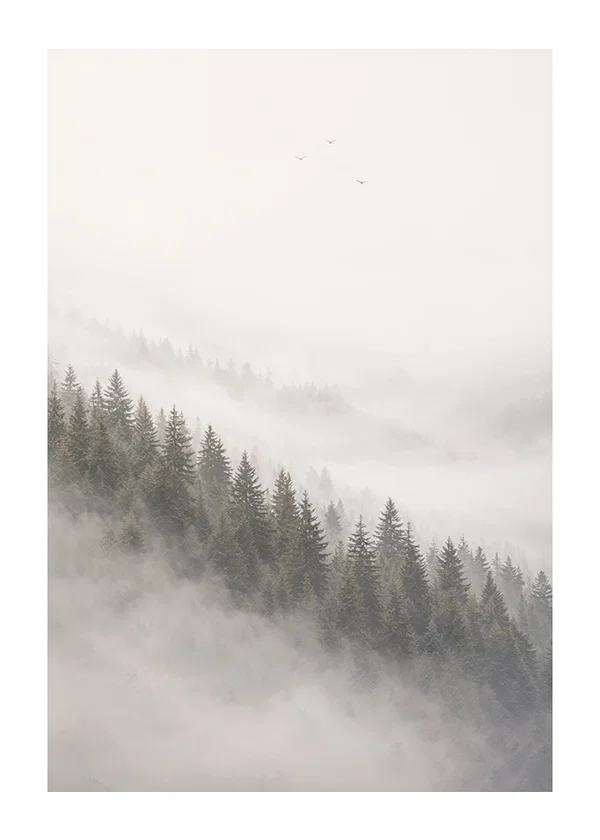 Poster Ethereal Woodland