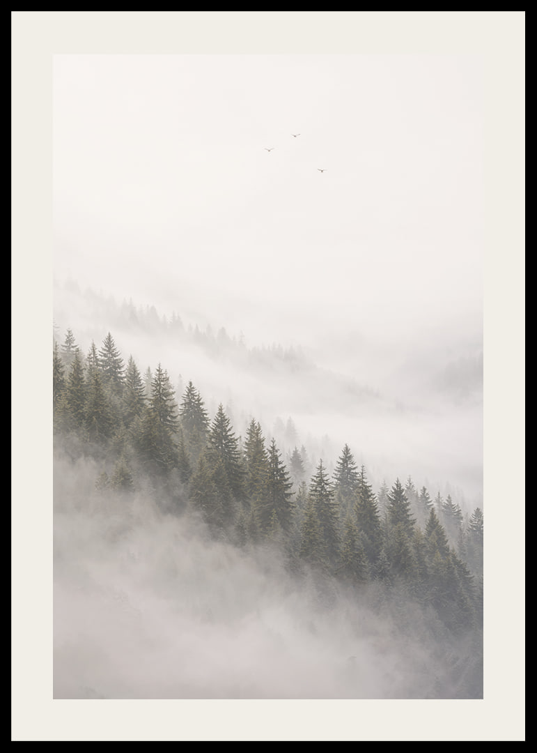 Mist-shrouded pine trees create a calm and peaceful atmosphere.-12