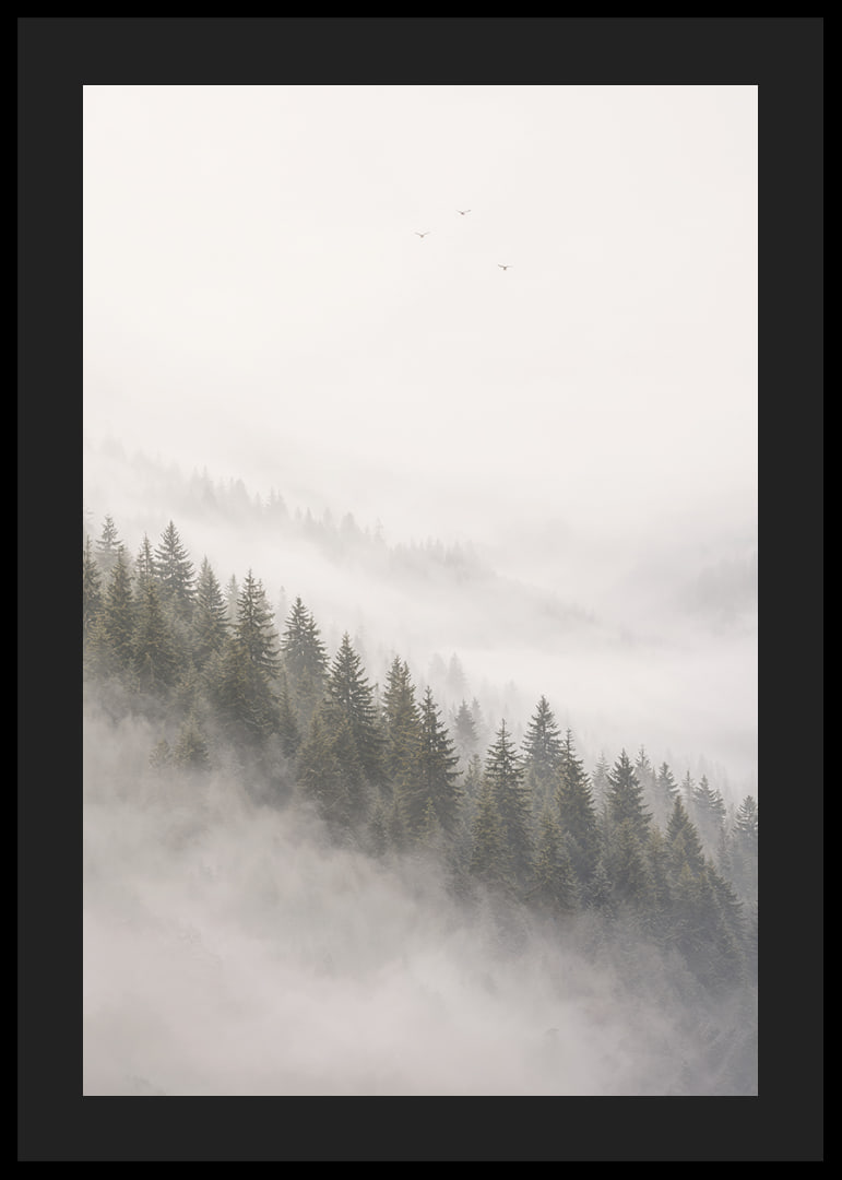 Mist-shrouded pine trees create a calm and peaceful atmosphere.-12