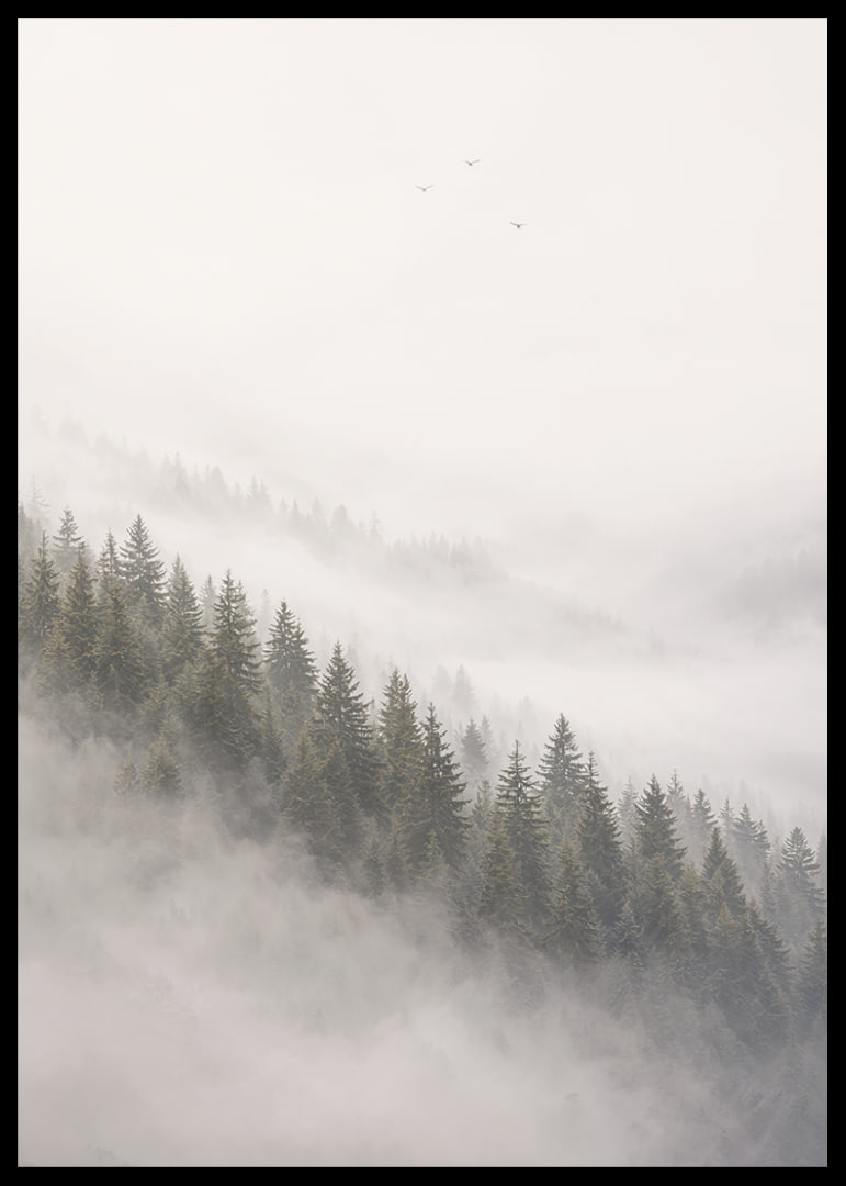 Mist-shrouded pine trees create a calm and peaceful atmosphere.-12