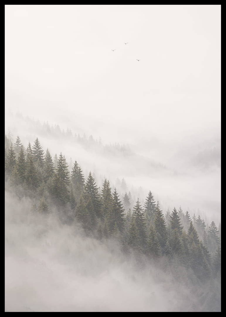 Les pins enveloppés de brume créent une atmosphère calme et paisible.-12