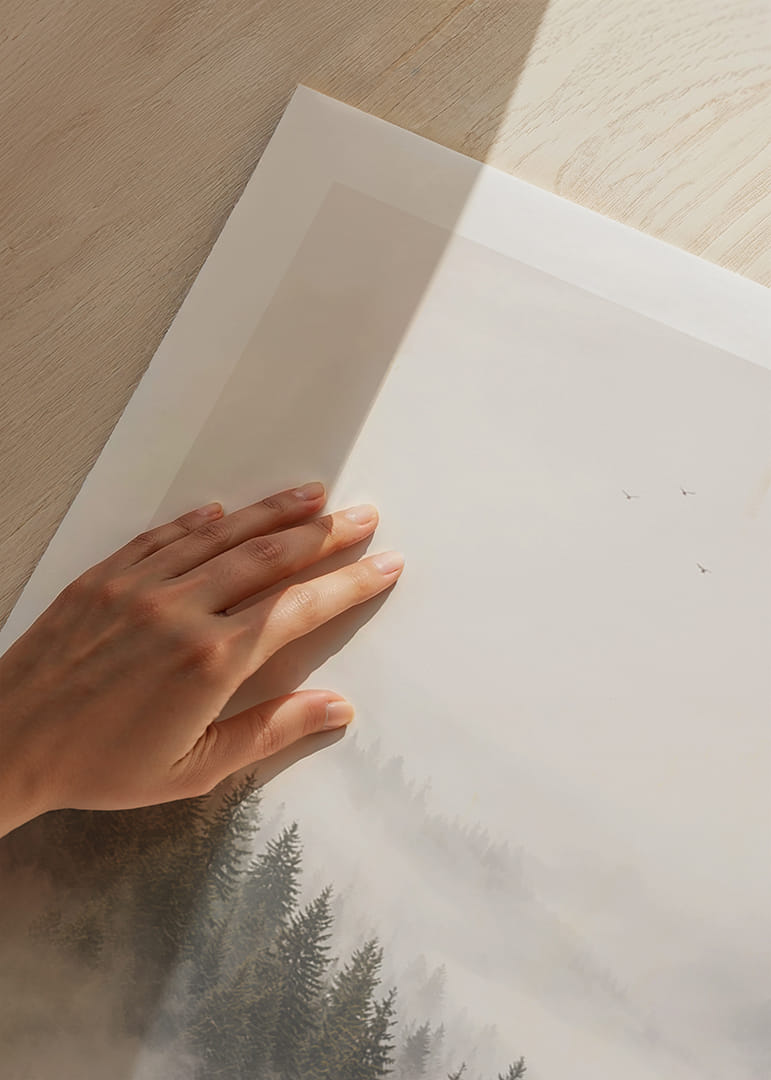 Les pins enveloppés de brume créent une atmosphère calme et paisible.-12