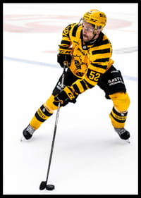 Arvid Lundberg Skellefteå AIK 2025-4