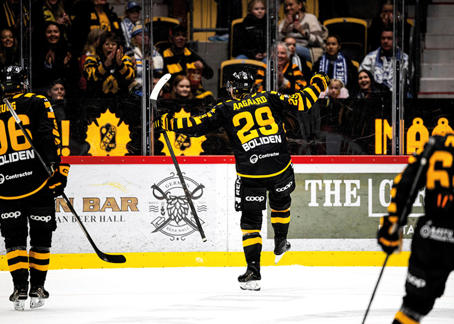 Mikkel Aagaard Skellefteå AIK 2025 No1-12