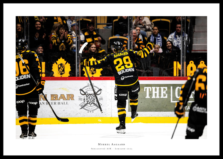 Mikkel Aagaard Skellefteå AIK 2025 No1-12