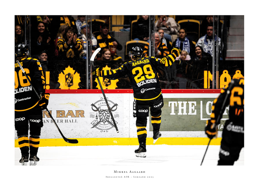 Mikkel Aagaard Skellefteå AIK 2025 No1-12