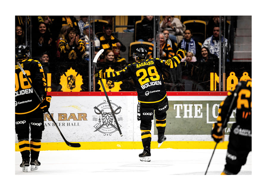 Mikkel Aagaard Skellefteå AIK 2025 No1-12