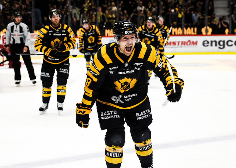 Mikkel Aagaard Skellefteå AIK 2025 No2-12