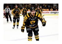 Mikkel Aagaard Skellefteå AIK 2025 No2-3