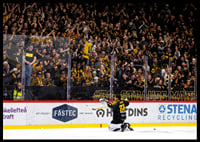 Strauss Mann Skellefteå AIK 2025 No1-4
