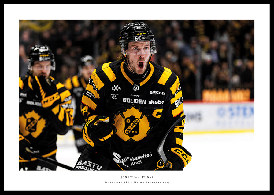 Jonathan Pudas Skellefteå AIK 2025-12