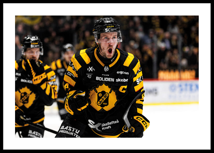 Jonathan Pudas Skellefteå AIK 2025-12