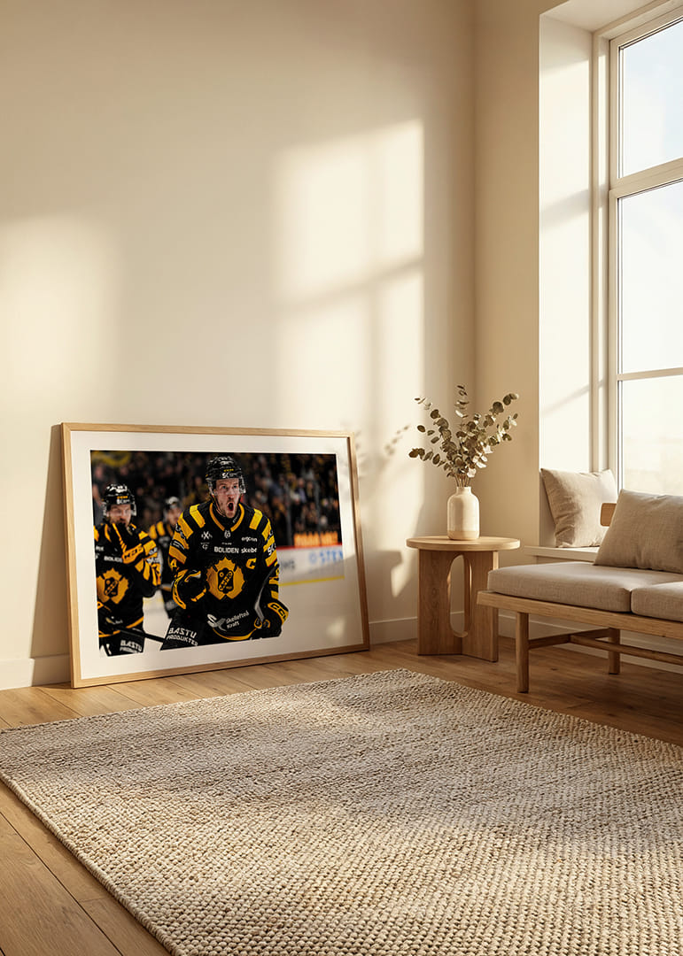 Jonathan Pudas Skellefteå AIK 2025-12