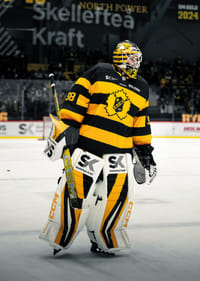 Strauss Mann På Isen Skellefteå AIK 2025-5