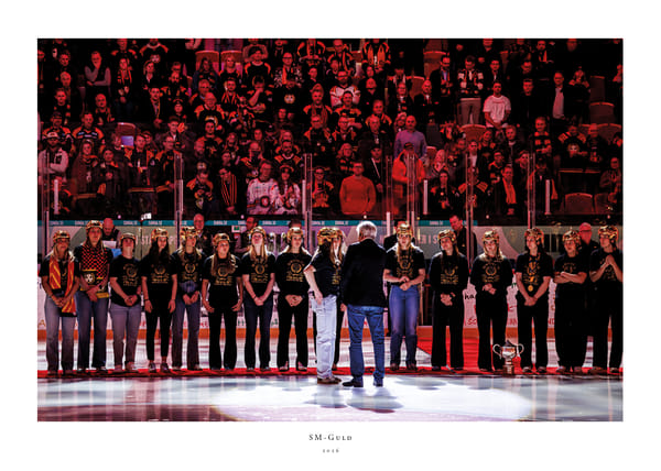 Poster Brynäs IF SM-Guld 2026 No1