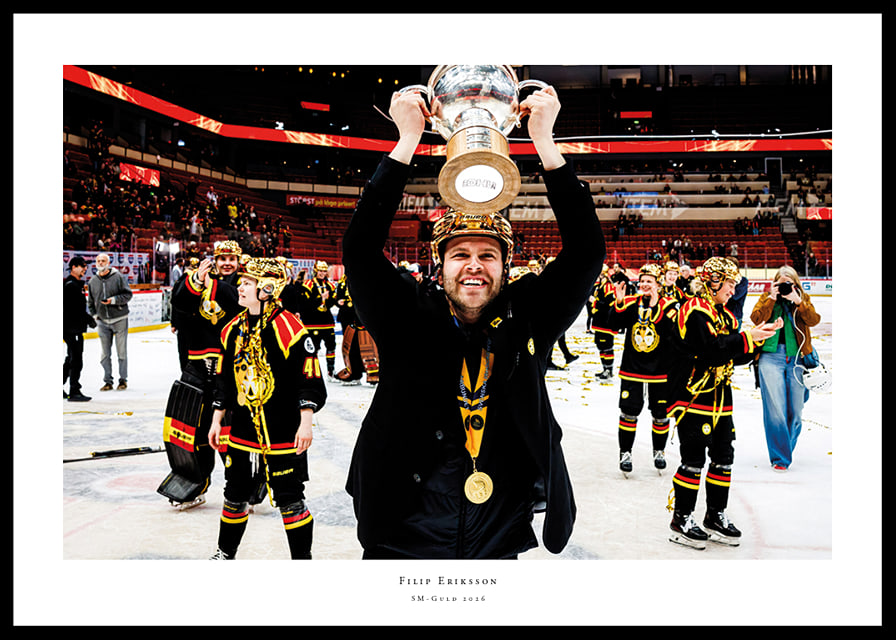 Filip Eriksson Brynäs IF SM-Guld 2026-12
