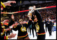 Brynäs IF SM-Guld 2026 No3-8