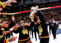 Brynäs IF SM-Guld 2026 No3-9