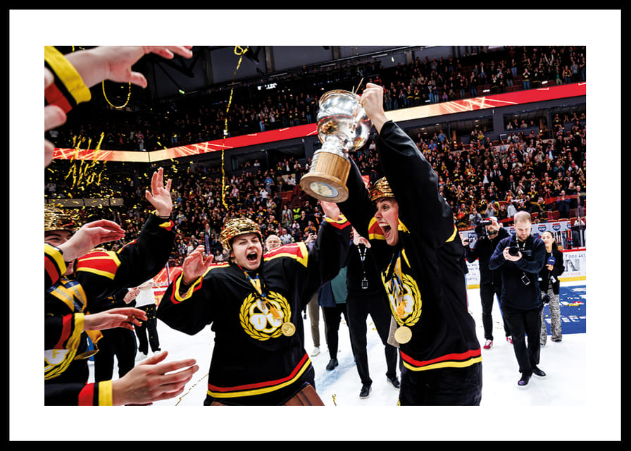Brynäs IF SM-Guld 2026 No3-12