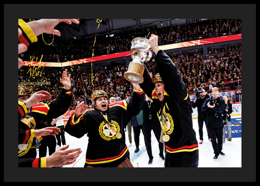 Brynäs IF SM-Guld 2026 No3-12