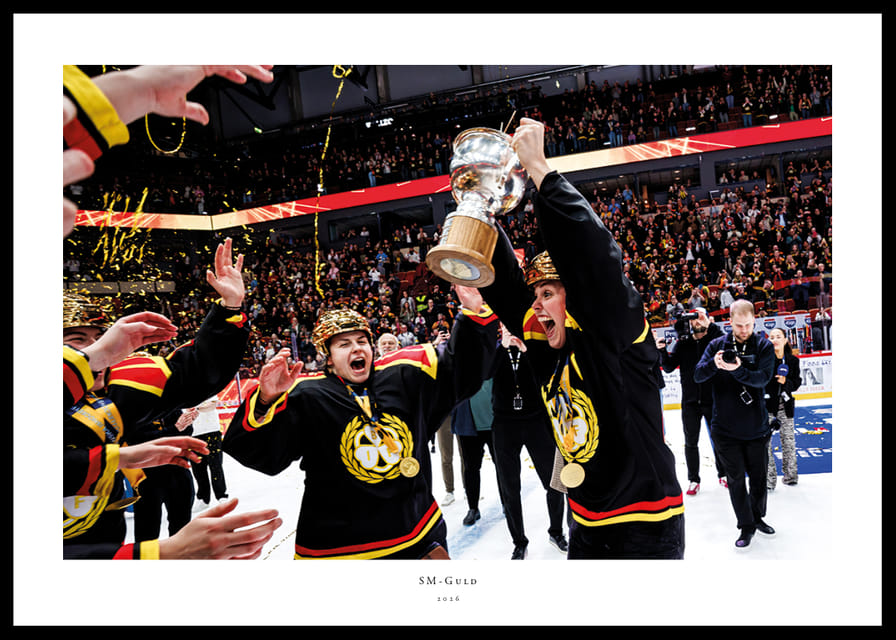 Brynäs IF SM-Guld 2026 No3-12