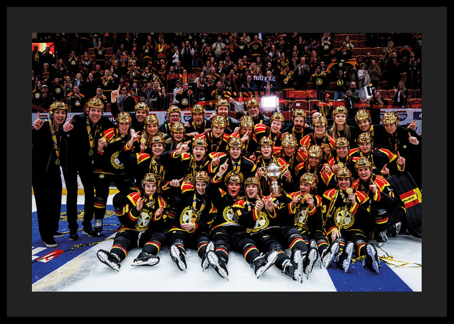 Brynäs IF SM-Guld 2026 No4-12