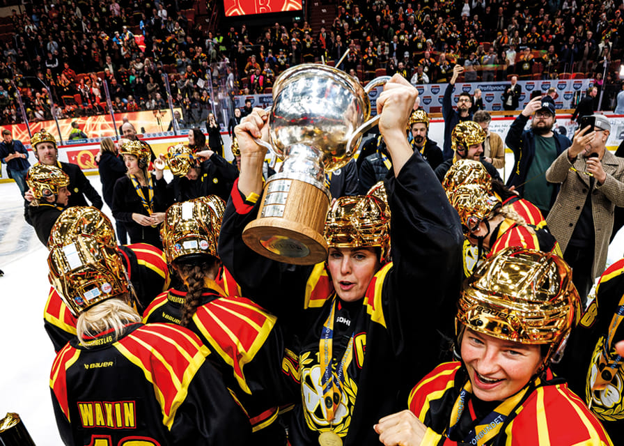 Brynäs IF SM-Guld 2026 No5-12