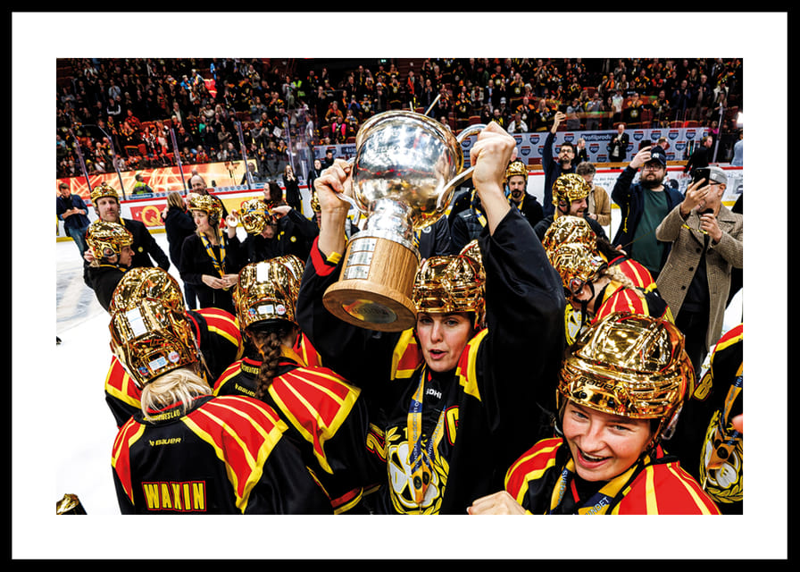 Brynäs IF SM-Guld 2026 No5-12