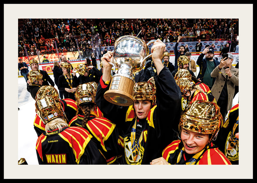 Brynäs IF SM-Guld 2026 No5-12