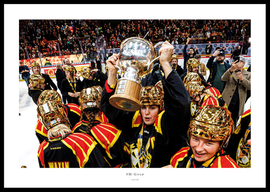 Brynäs IF SM-Guld 2026 No5-12