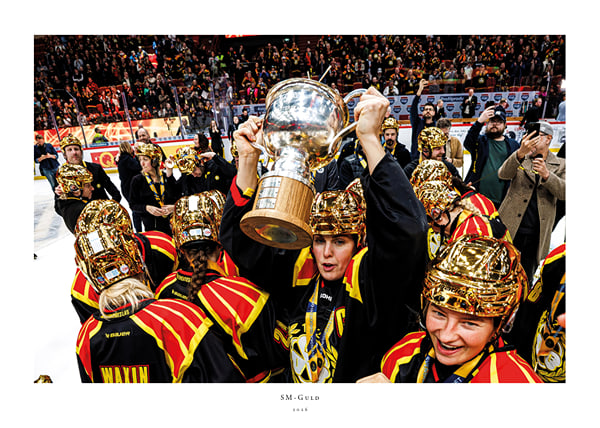 Poster Brynäs IF SM-Guld 2026 No5