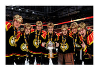 Brynäs IF SM-Guld 2026 No6-3