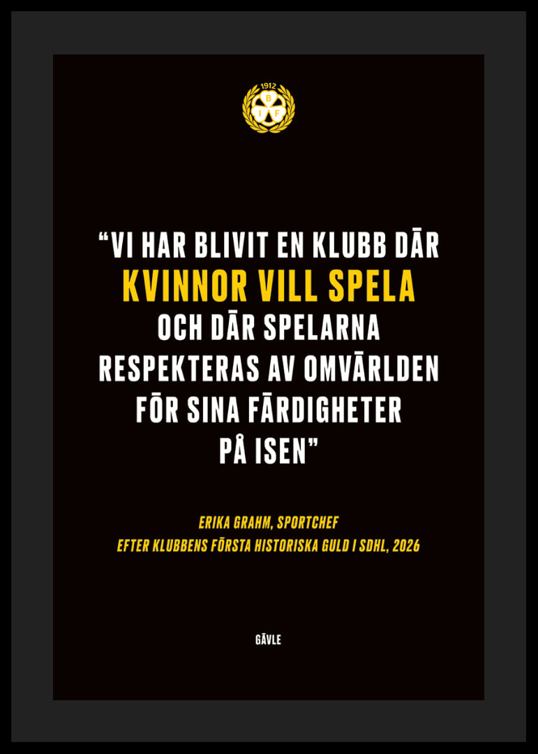 Erika Grahm Kvinnor Vill Spela Brynäs -12