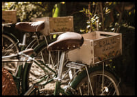Des vélos baignés de soleil dans une harmonie intemporelle-6