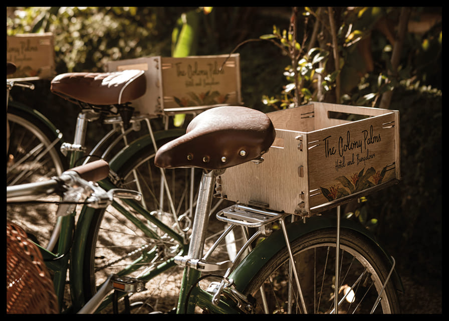 Des vélos baignés de soleil dans une harmonie intemporelle-12