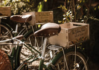 Des vélos baignés de soleil dans une harmonie intemporelle-7