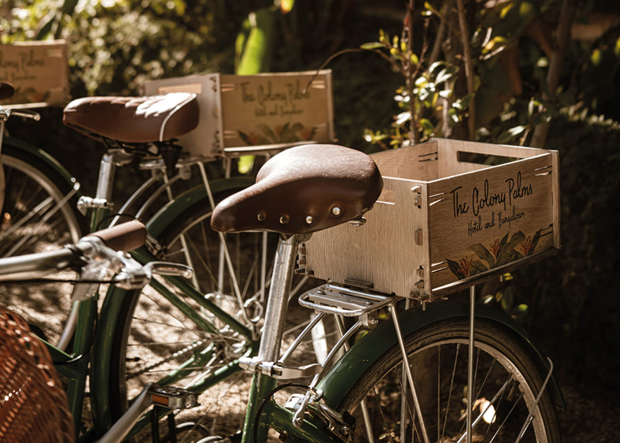 Des vélos baignés de soleil dans une harmonie intemporelle-12