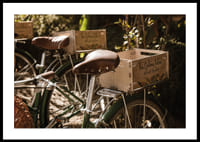 Des vélos baignés de soleil dans une harmonie intemporelle-0