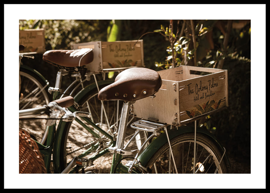 Des vélos baignés de soleil dans une harmonie intemporelle-12