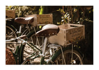 Des vélos baignés de soleil dans une harmonie intemporelle-1